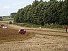 DSC00554.JPG