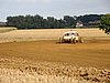 DSC02558.JPG