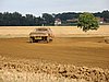 DSC02567.JPG