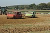 DSC_7131.jpg