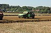 DSC_7179.jpg