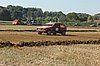 DSC_7180.jpg