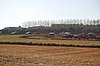 DSC_9631.jpg