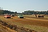 DSC_9663.jpg