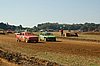 DSC_9664.jpg