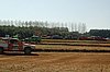 DSC_9696.jpg