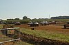 DSC_9704.jpg