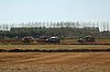 DSC_9729.jpg