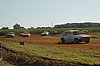 DSC_9741.jpg