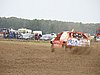 DSC01733.JPG
