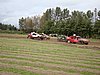 DSC01863.JPG