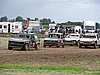 DSC02351.JPG