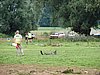 DSC06169.JPG