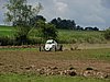 DSC06190.JPG