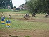 DSC06201.JPG