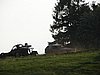 DSC05406.JPG