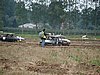 DSC03000.JPG