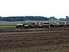 DSC02750.JPG