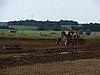 DSC02775.JPG